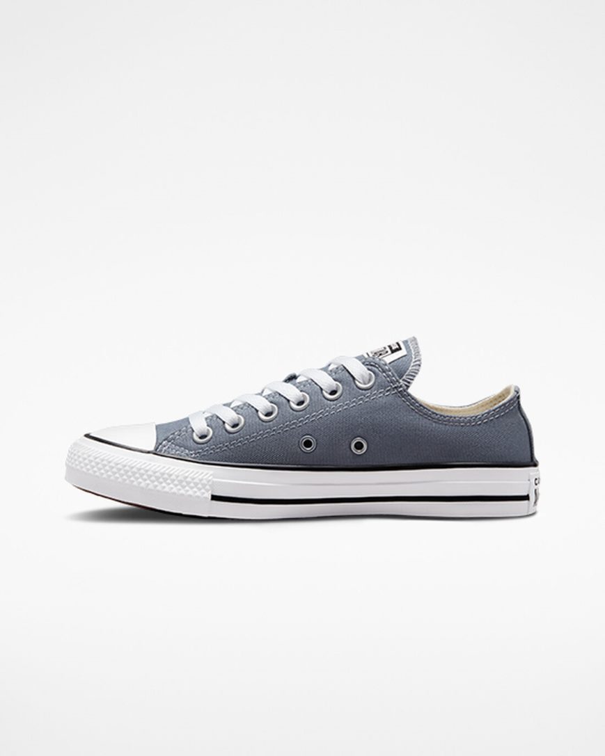 Tenisky Nizke Converse Chuck Taylor All Star Seasonal Color Damske Siva | SK CIHWR6